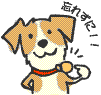 킷ꂸɁI