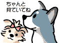 ドッグラン