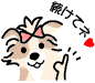 しつけ教室