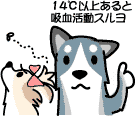 フィラリア