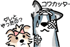 犬のケンカ