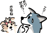 飼育規約