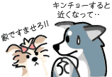 オシッコはだめ!