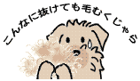 抜け毛はどこへ?