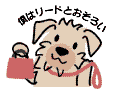 ウンチの持ち帰り方