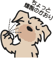 お肌のお手入れ