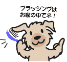お手入れ道具