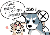 犬と事故