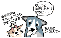 犬の事故