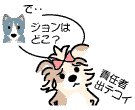 犬がいなくなったら