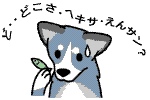 元気に長生き