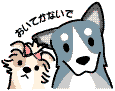 いつも一緒