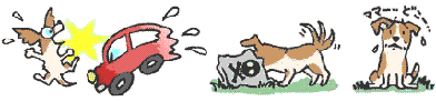キケンがイッパイ